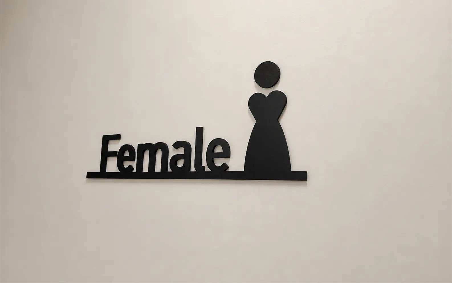 Safety & Utility Signage — Female Restroom Identification, Mumbai