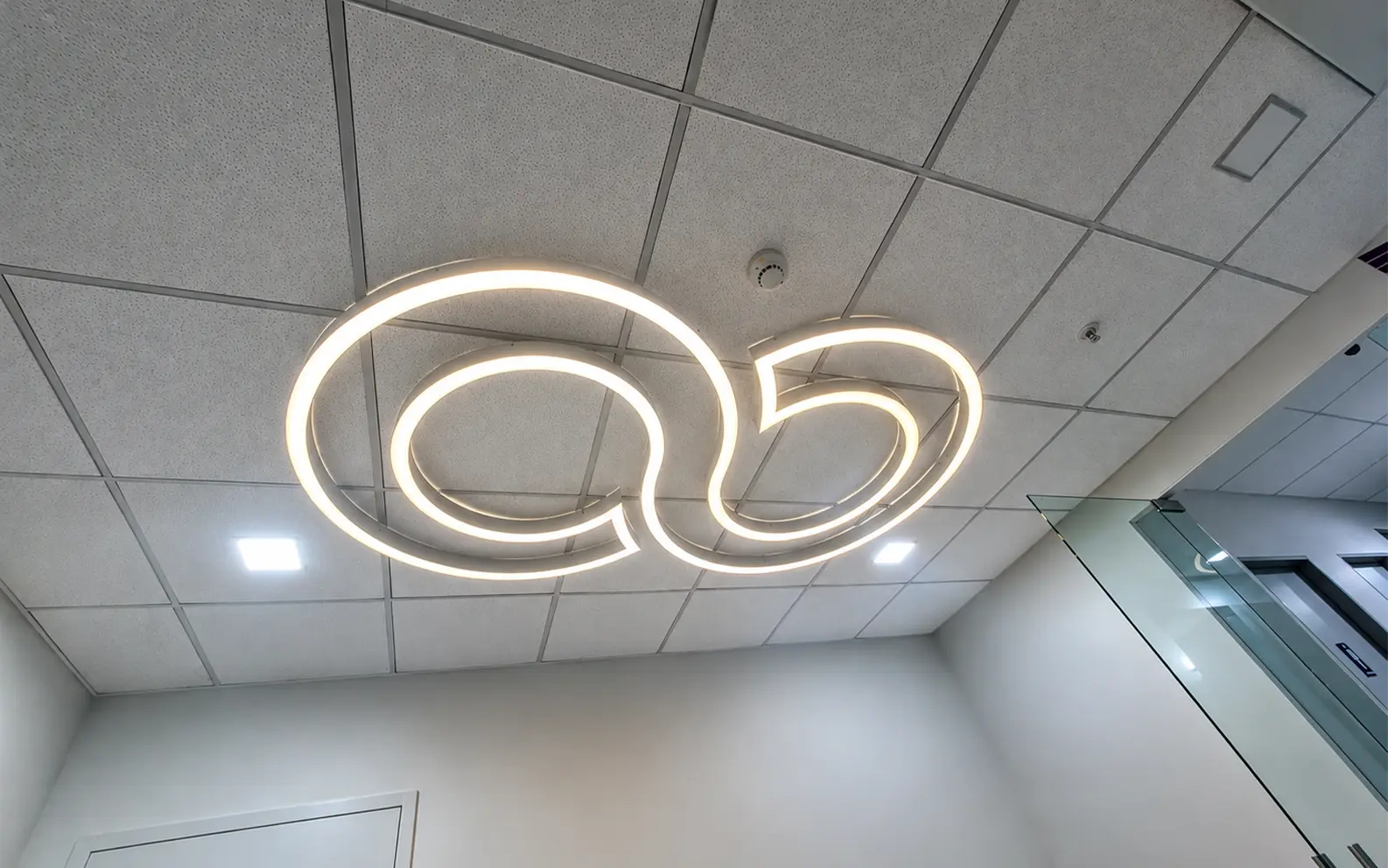 Custom Ceiling Lights — Corporate Office Ceiling Luminaire, Mumbai