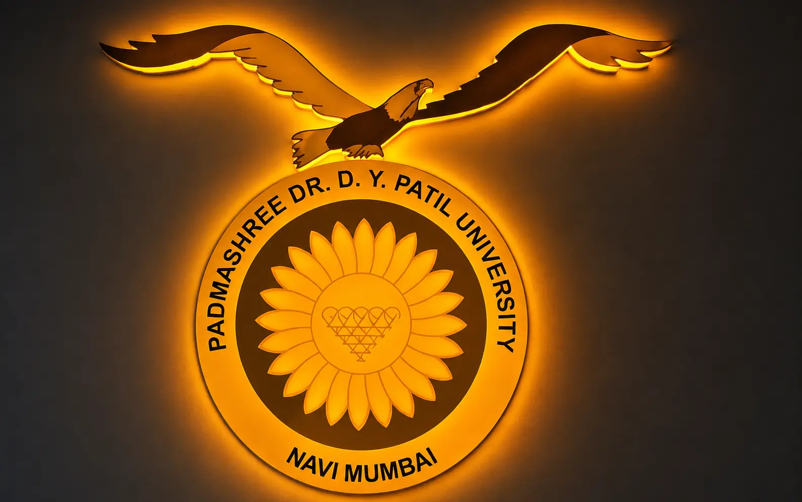 Frontlit LED Sign — Padmashree Dr. D. Y. Patil University, Mumbai